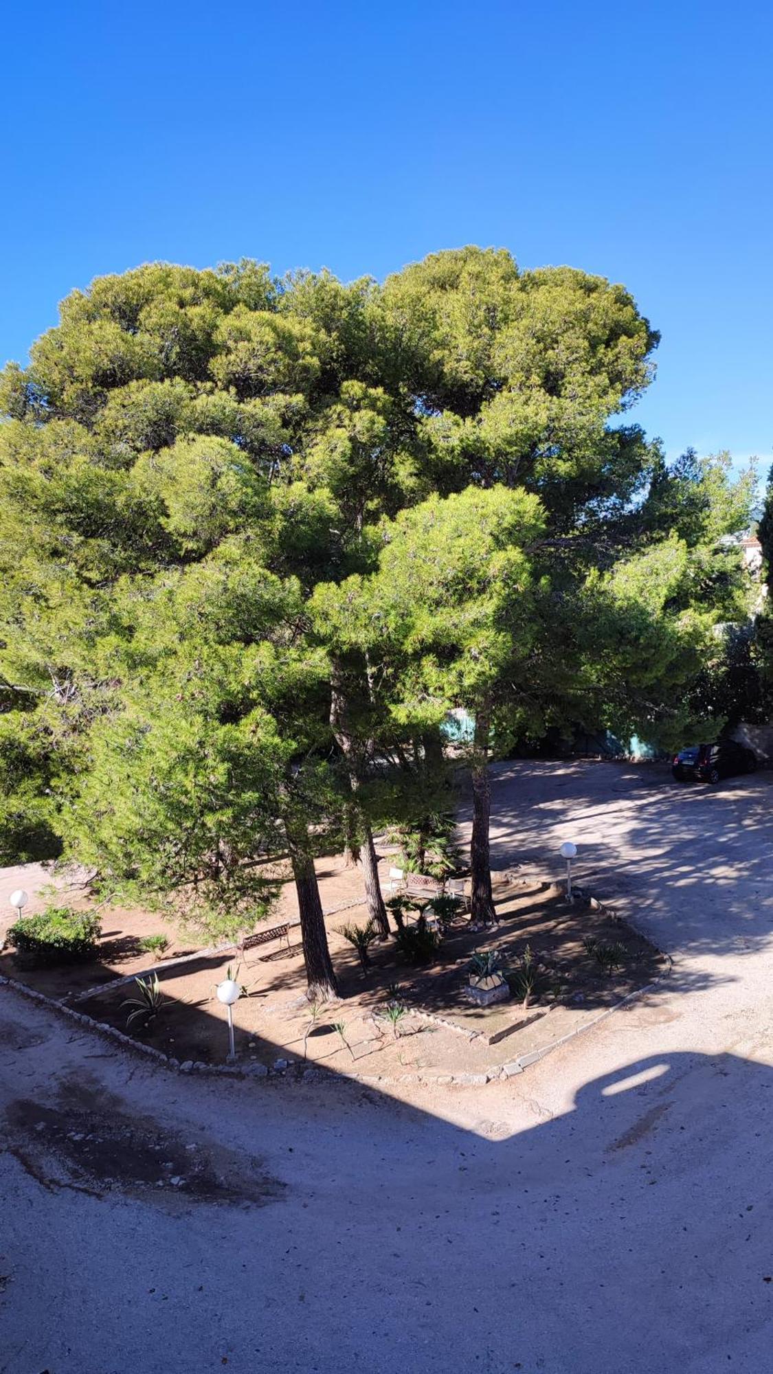 Hotel Restaurant Miramar L'Orchidee La Ciotat Eksteriør billede